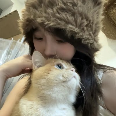 开膛街第五季 海报