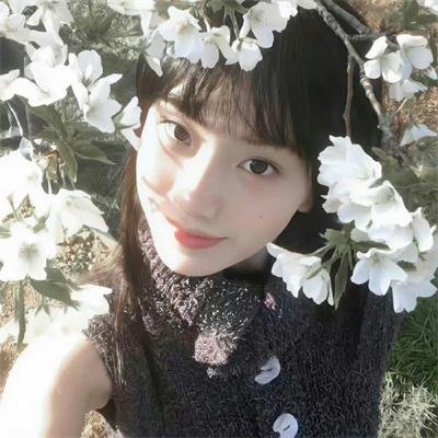 罗雀高飞 海报